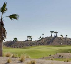 Saurines de la Torre Golf Course  has got among the leading golf course near Costa Blanca