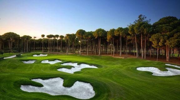 All The Carya Golf Club's lovely golf course situated in staggering Belek.