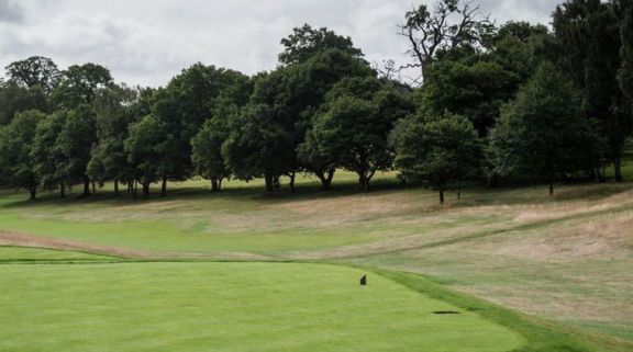 Ashridge Golf Club hosts lots of the most desirable golf course in Hertfordshire