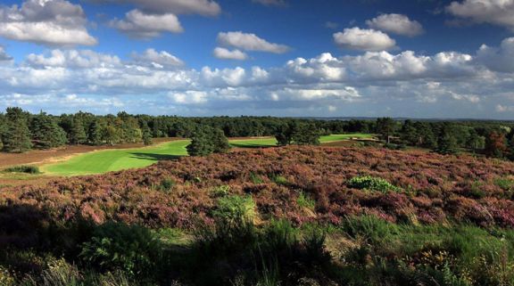All The Sunningdale Golf Club's picturesque golf course situated in sensational Surrey.