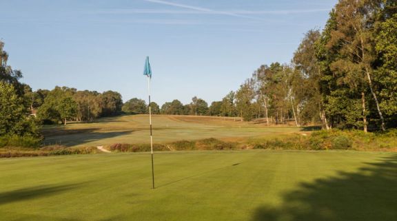 Royal Ashdown Forest Golf Club has some of the most desirable golf course around Sussex