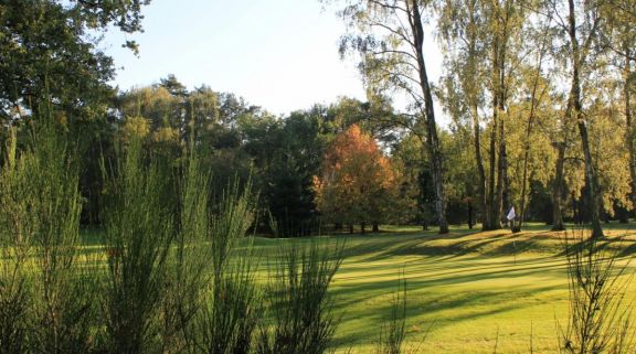The Royal Golf Club du Hainaut's picturesque golf course in gorgeous Brussels Waterloo & Mons.