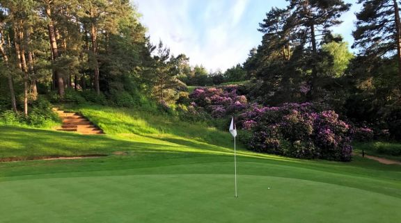 Woburn Golf Club consists of among the preferred golf course around Buckinghamshire