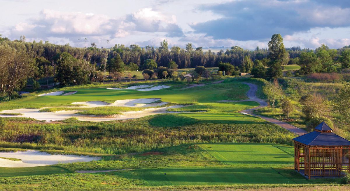 the players club golf the players club golf