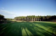 The Montgomerie Maxx Royal Golf Club's lovely golf course situated in vibrant Belek.