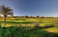 Boavista Golf Club carries some of the finest golf course in Algarve