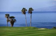 View Costa Adeje Golf Course's lovely golf course situated in brilliant Tenerife.