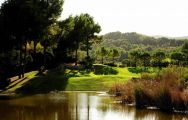 a lake guarding the 10th green at son muntaner golf course, mallorca