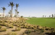 La Torre Golf Course has among the most excellent golf course around Costa Blanca