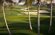 The Dubai Creek Golf Club's scenic golf course in vibrant Dubai.