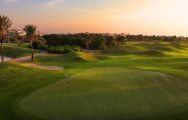 View The Montgomerie Golf Club's lovely golf course within impressive Dubai.