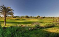 The Boavista Golf Club's scenic golf course within magnificent Algarve.