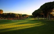 View Dom Pedro Vilamoura Old Golf Course's impressive 9th hole in dazzling Algarve.