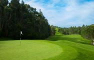 The Penha Longa Atlantic Golf Course's scenic golf course in fantastic Lisbon.