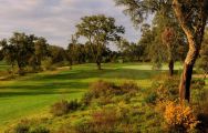 The Riba Golfe 2 's scenic golf course in vibrant Lisbon.