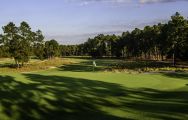 Pinehurst Resort's scenic No. 2 golf course in impressive North Carolina.