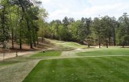 The Palmetto Golf Club's beautiful golf course in sensational South Carolina.