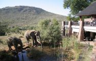 The Kwa Maritane Bush Lodge's impressive safari situated in spectacular South Africa.