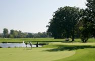 The Beckenbauer Golf Course's scenic golf course in vibrant Germany.