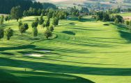 The Allianz Nickolmann Golf Course Brunnwies's lovely golf course within striking Germany.