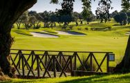 View Quinta de Cima Golf Club's lovely golf course within spectacular Algarve.