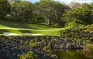 The Anahita by Ernie Els's picturesque golf course situated in sensational Mauritius.