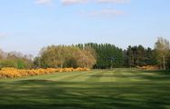 The Frilford Heath Golf Club's impressive golf course situated in amazing Oxfordshire.