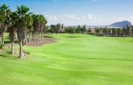 The Golf del Sur's lovely golf course situated in staggering Tenerife.