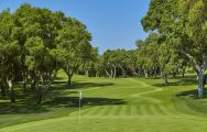 Real Club Valderrama's picturesque golf course situated in sensational Costa Del Sol.