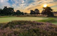 Hankley Common Golf Club