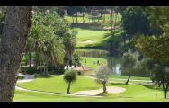 torrequebrada golf club looking down on to the green through the trees from the tee box