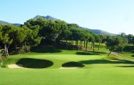 the image is of a golf green surrounded by bunkers with mountains and trees in the background