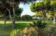 Pinhal Golf Club