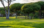 Pinhal Golf Club