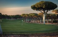 The Old Course