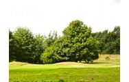 All The Golf Club de Louvain-la-Neuve's lovely golf course in marvelous Brussels Waterloo & Mons.