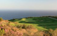 Pezula Championship Course includes lots of the most desirable golf course within South Africa