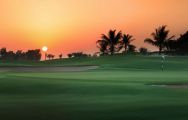All The Saadiyat Beach Golf Club's scenic golf course in spectacular Abu Dhabi.