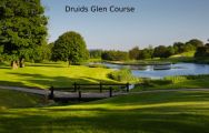 Druids Glen - Wicklow Golf Club hosts several of the preferred golf course near Southern Ireland