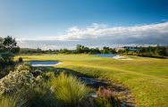 The RiverTowne Country Club's beautiful golf course within fantastic South Carolina.