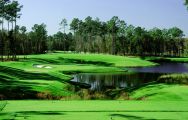 TPC Myrtle Beach offers among the most desirable golf course near South Carolina