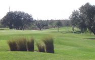 The Orange County National Golf Center 's picturesque golf course situated in stunning Florida.