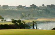 LPGA International has got lots of the best golf course within Florida