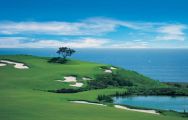 All The Pelican Hill Golf Club's beautiful golf course situated in spectacular California.