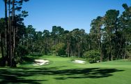 All The Spyglass Hill Golf Course's lovely golf course in magnificent California.