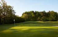 Lingfield Park Golf Club offers a fine golf course within Surrey