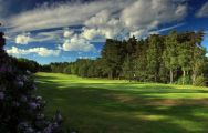 The The Berkshire Golf Club's lovely golf course situated in staggering Berkshire.