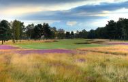 Sherwood Forest Golf Club has some of the preferred golf course within Nottinghamshire