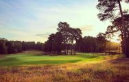 All The St George's Hill Golf Club's scenic golf course within sensational Surrey.
