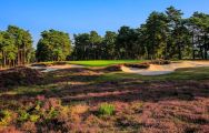 View West Sussex Golf Club's lovely golf course in vibrant Sussex.